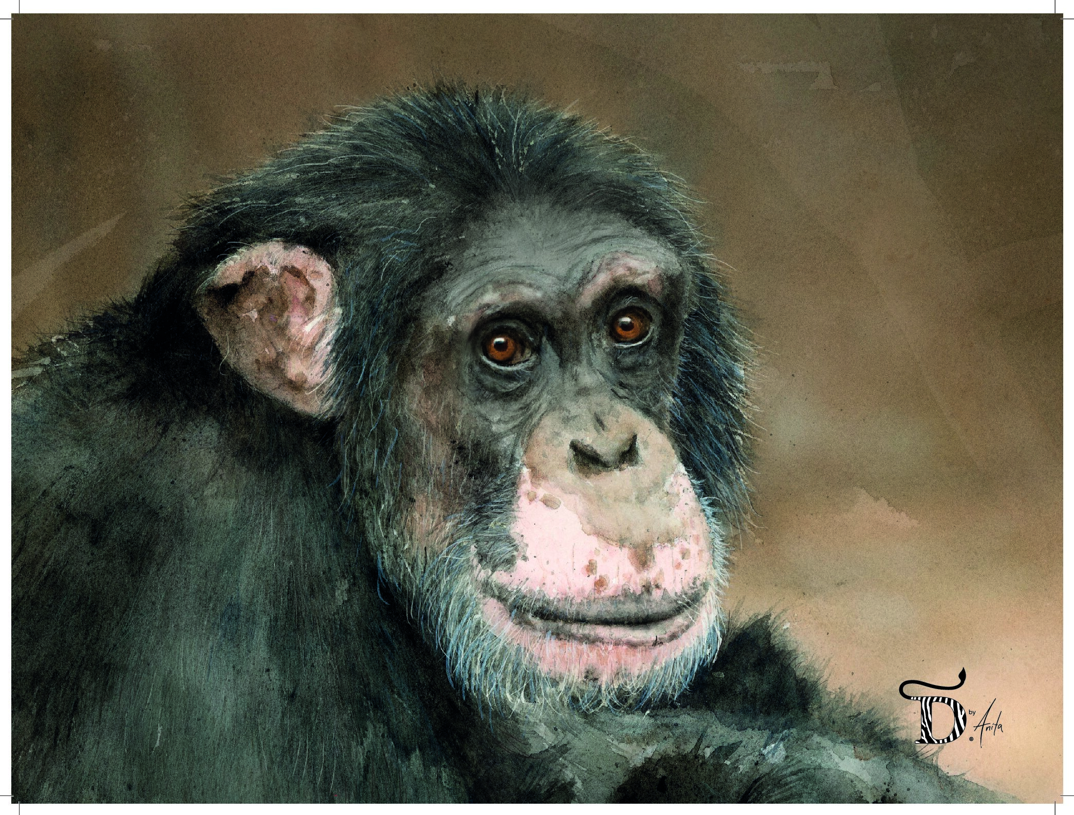PLAKAT, SJIMPANSE 30x40