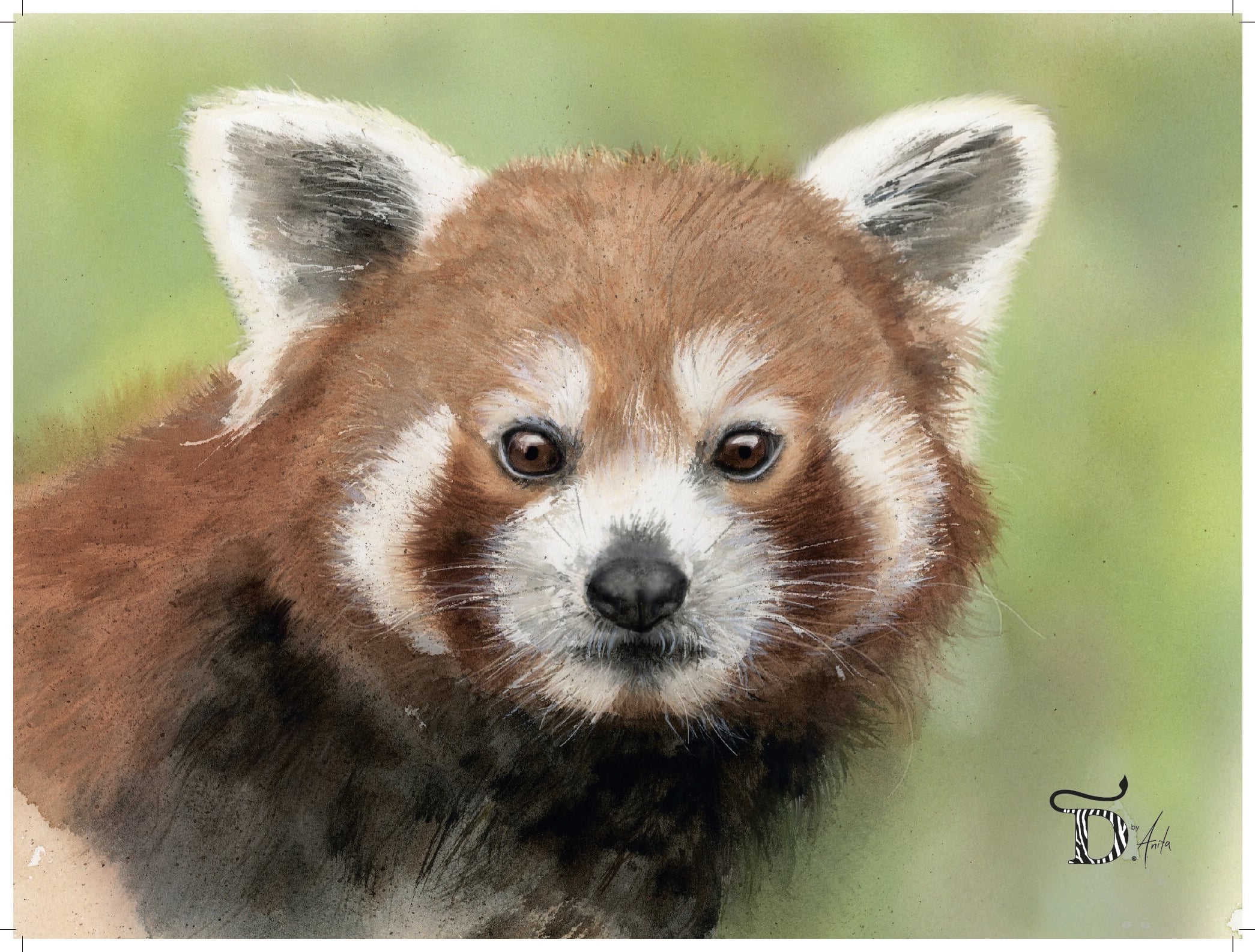 PLAKAT, RØD PANDA 30x40
