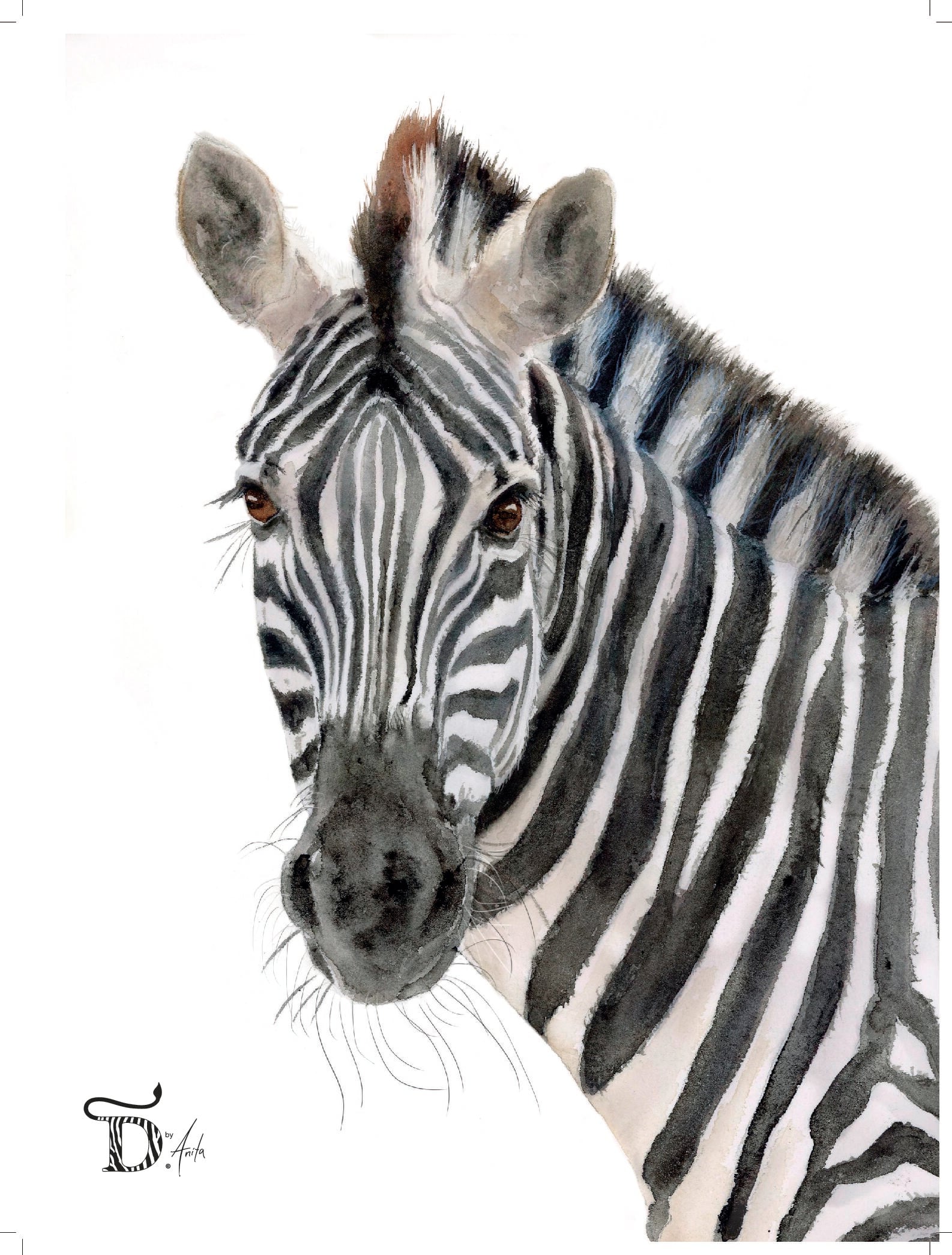 PLAKAT, SEBRA 30x40