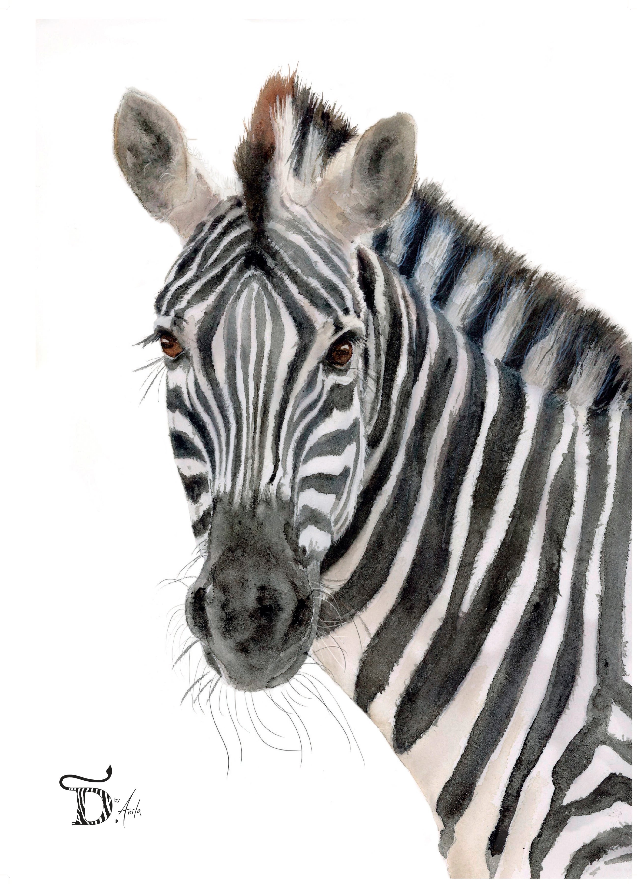PLAKAT, SEBRA 50x70