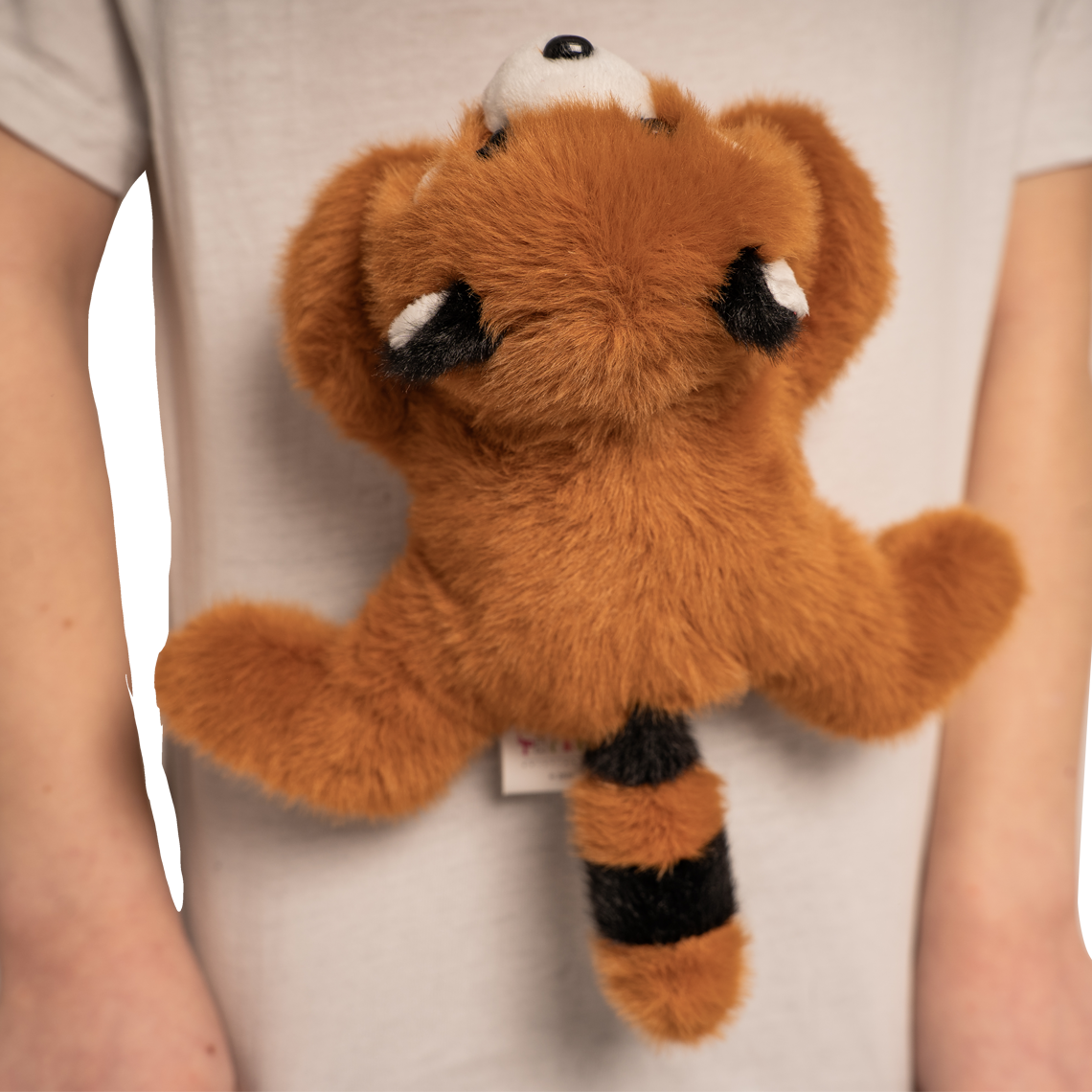Rød panda – Magnetdyr - Image 5