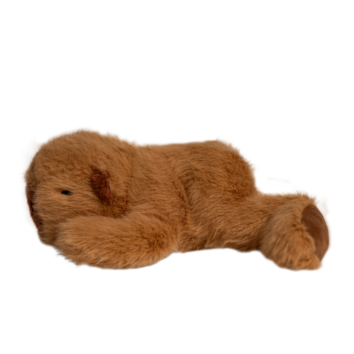 Capybara – magnetdyr - Image 2
