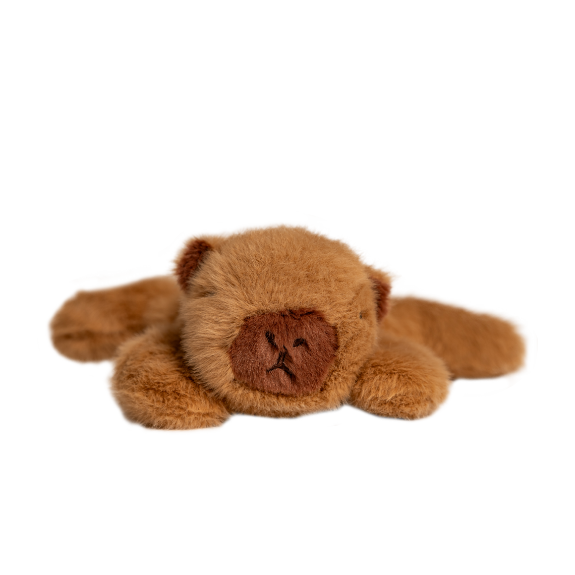 Capybara – magnetdyr