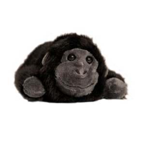 Sjimpanse – magnetdyr