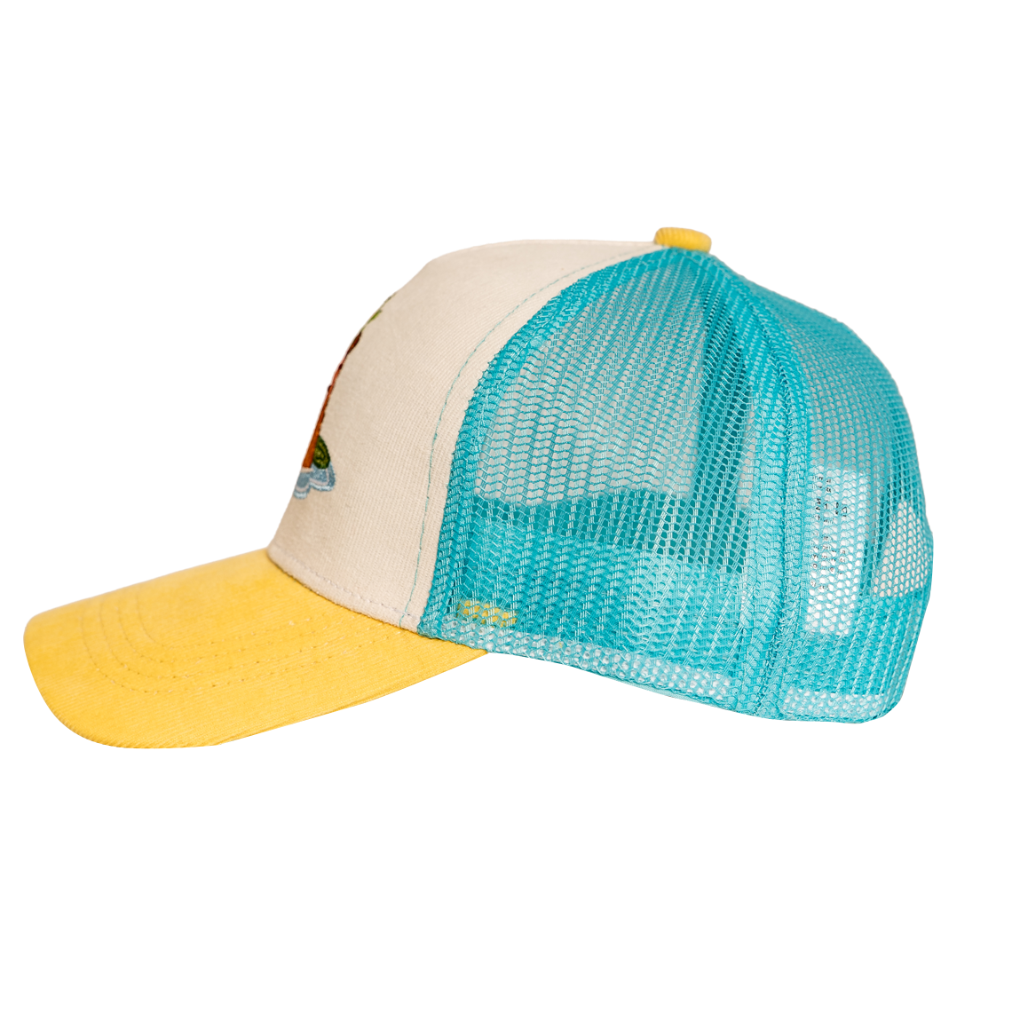 Caps – Capybara - Image 4